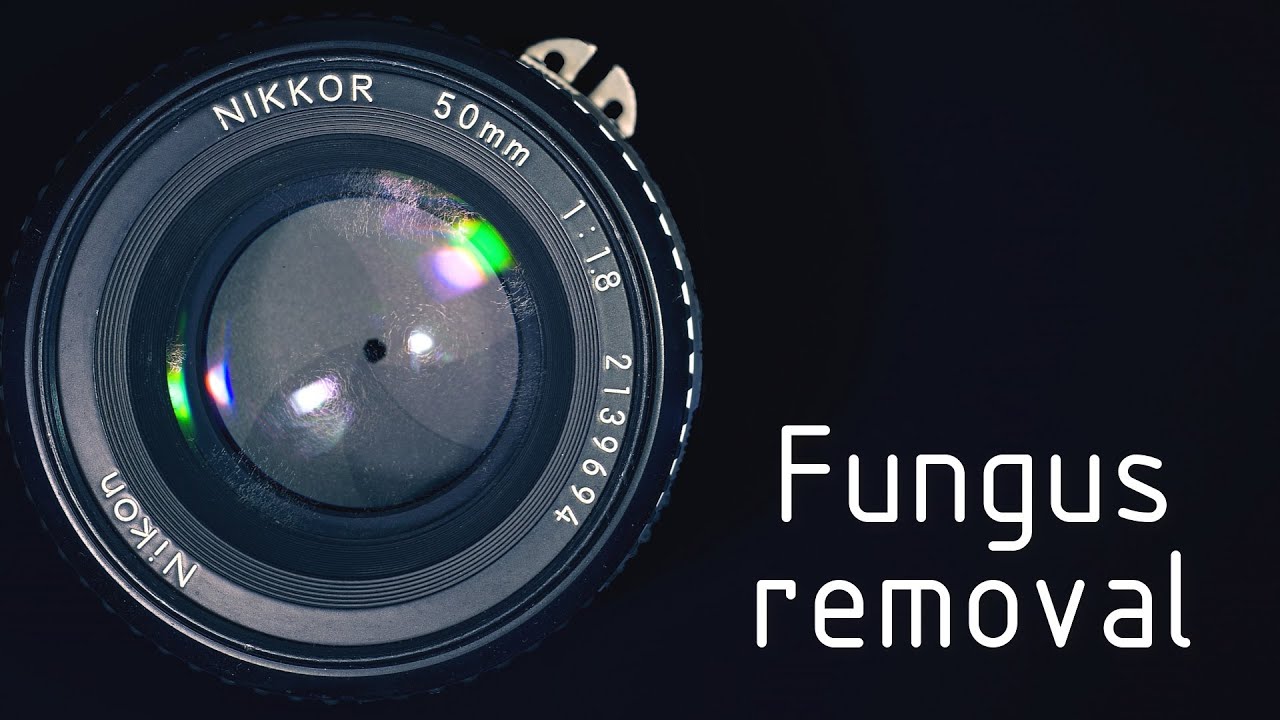 Lens repair : Fungus cleaning