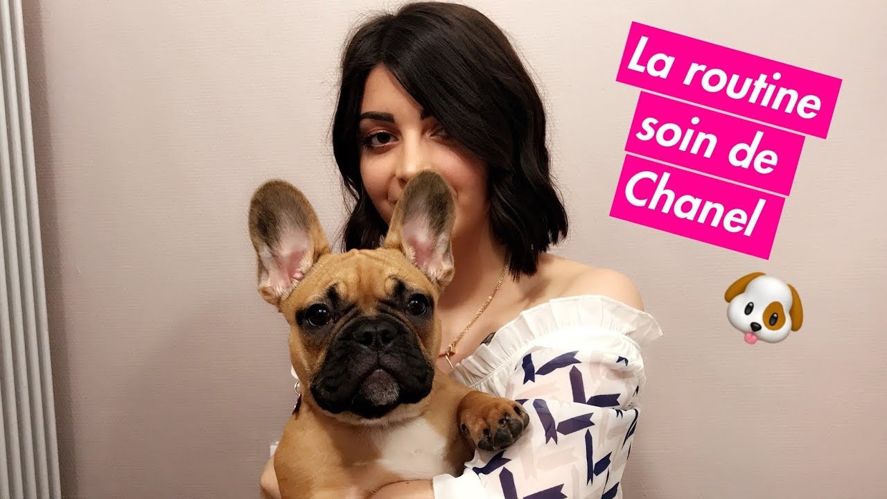LA ROUTINE SOIN DE CHANEL 🐶 Mon Bouledogue Français de 7 mois