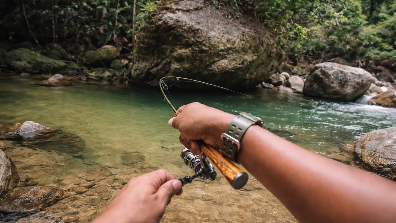 Letupan Padu Sang Tengas  ! #wildstream #topwater #streamfishing 