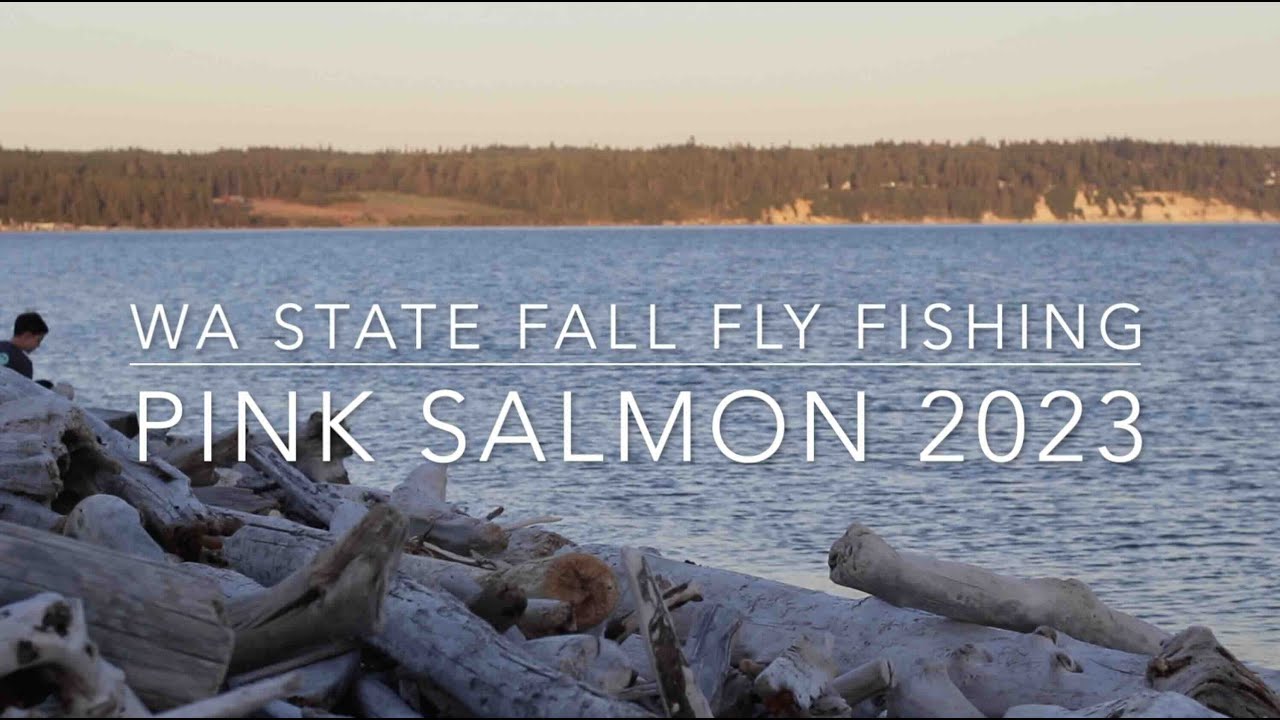 2023 Pink Salmon Run - Fly Fishing