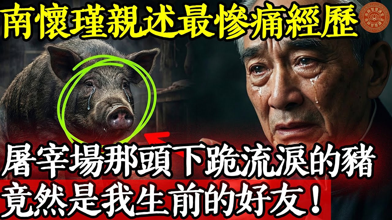南懷瑾親述最慘痛經歷：屠宰場那頭下跪流淚的豬，竟然是我生前的好友！#南懷瑾 #南師 #南師智慧講堂 #六道輪迴 #因果報應 #人死後去哪裡 #投胎轉世 #畜生道 #中陰身 #阿賴耶識