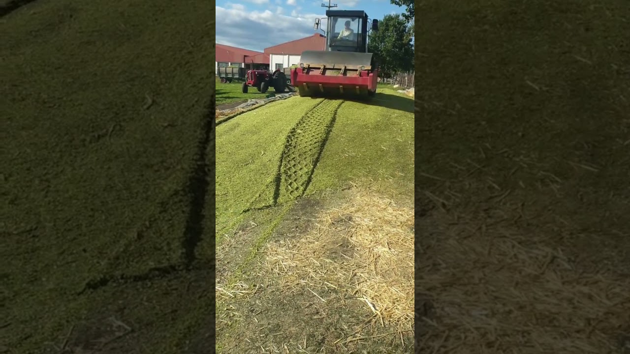 Now THAT&rsquo;S How You Pack Silage🚜 #agriculture #tractor #farming #farm #silage