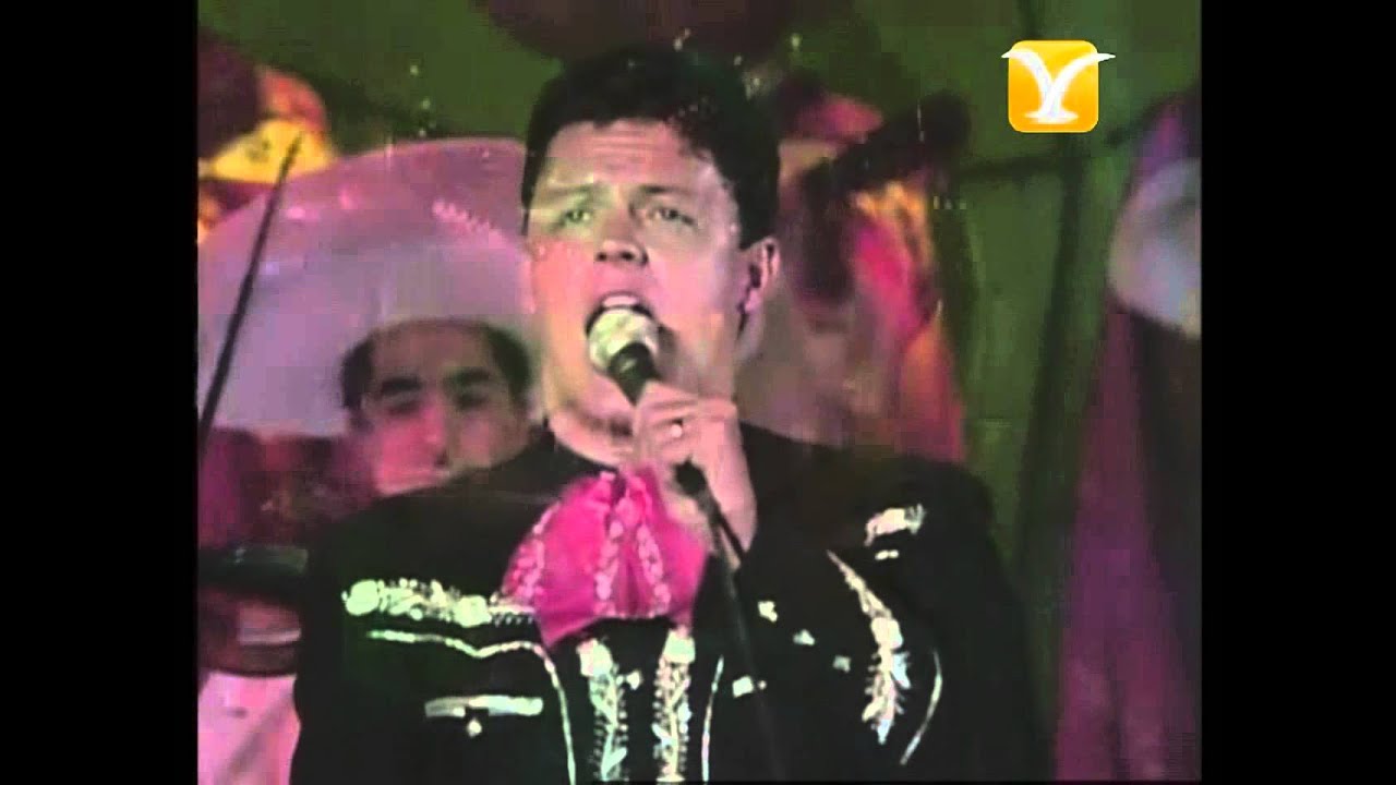 Pedro Fernández, Novillero, Festival de Viña 1998