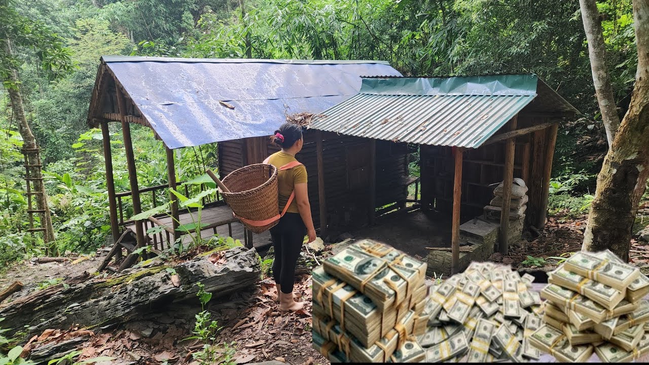 Homeless girl finds abandoned house in woods and finds lots of dollars - Lý Thị Phương