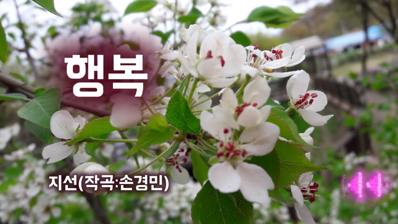 행복 / Happiness, 아이빅밴드(IBIG BAND), 지선(JI SUN) / 손경민 작곡 *photo-mk
