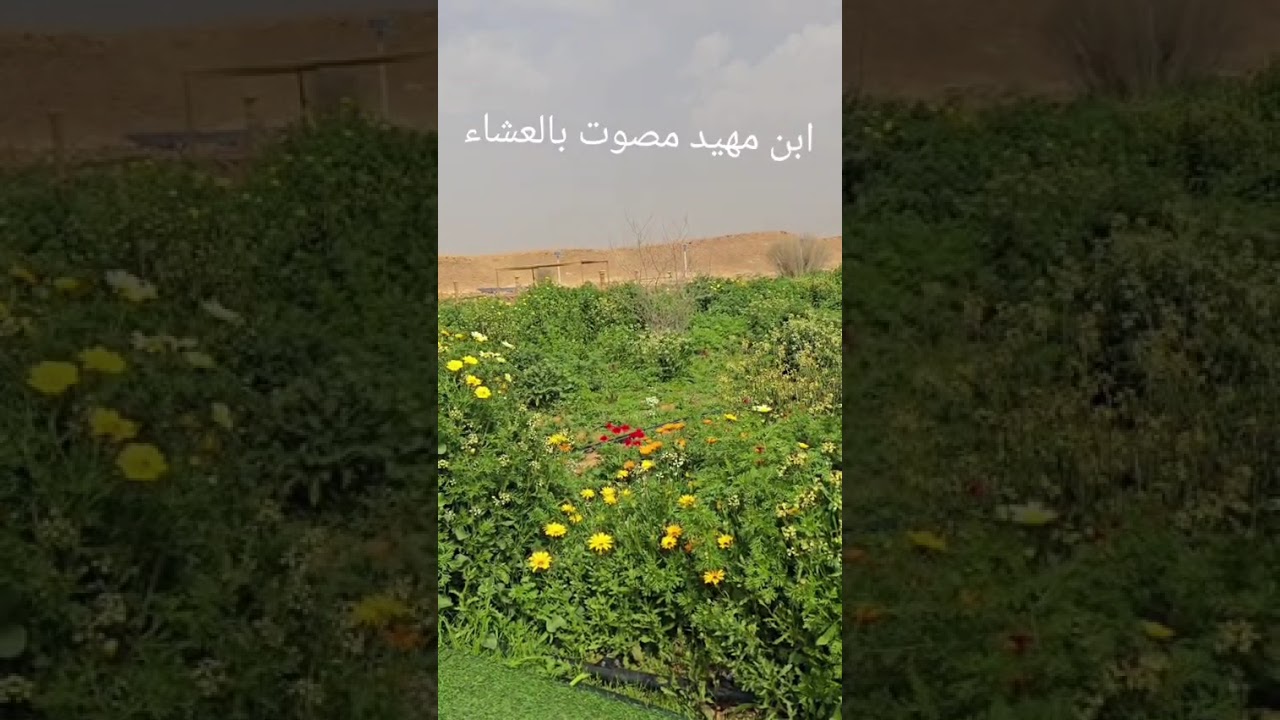 ٢٧ يناير ٢٠٢٦