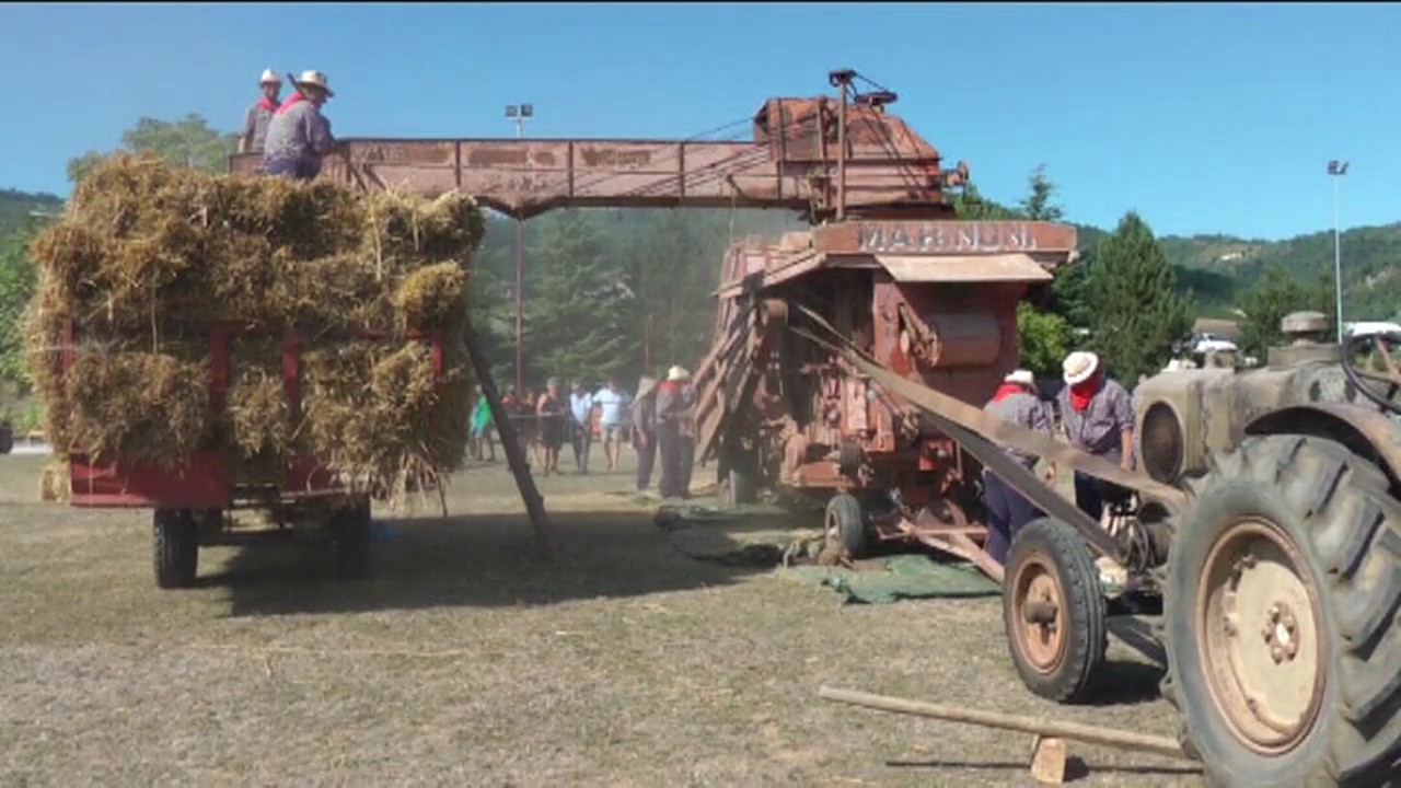 3° festa della trebbiatura movie