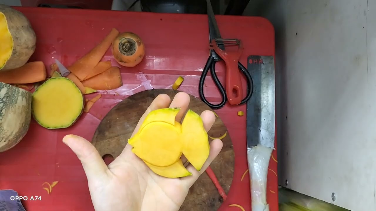 tỉa cá dĩa bằng bí đỏ chưa bao giờ đơn chúc các bạn thành công
