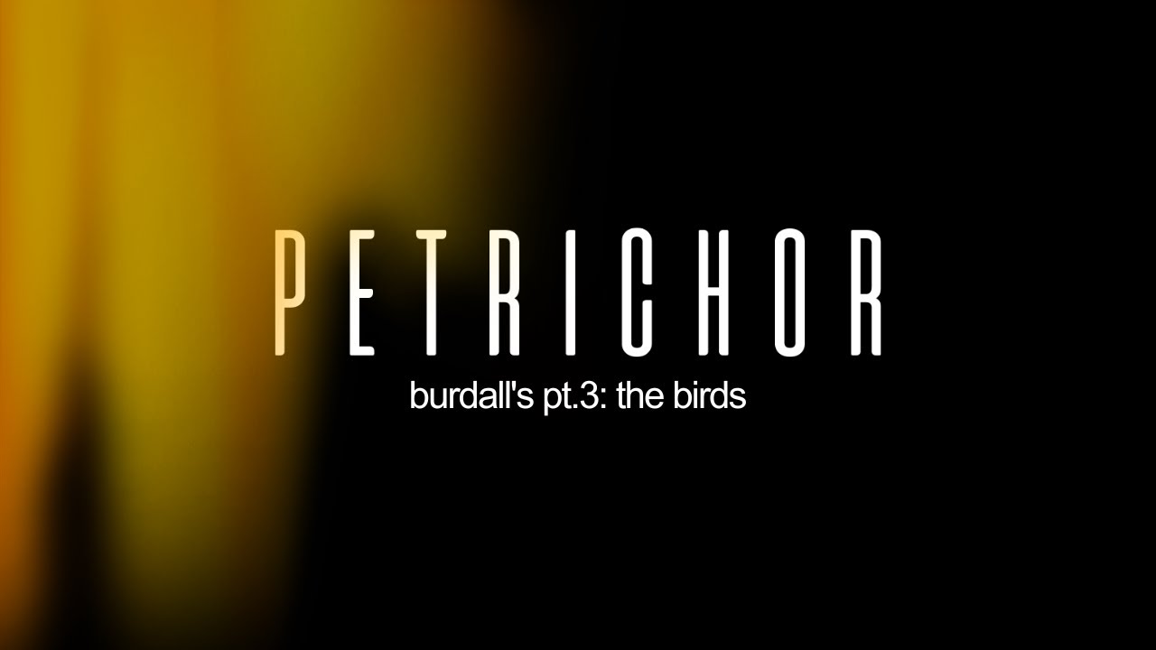 burdall's pt.3: the birds