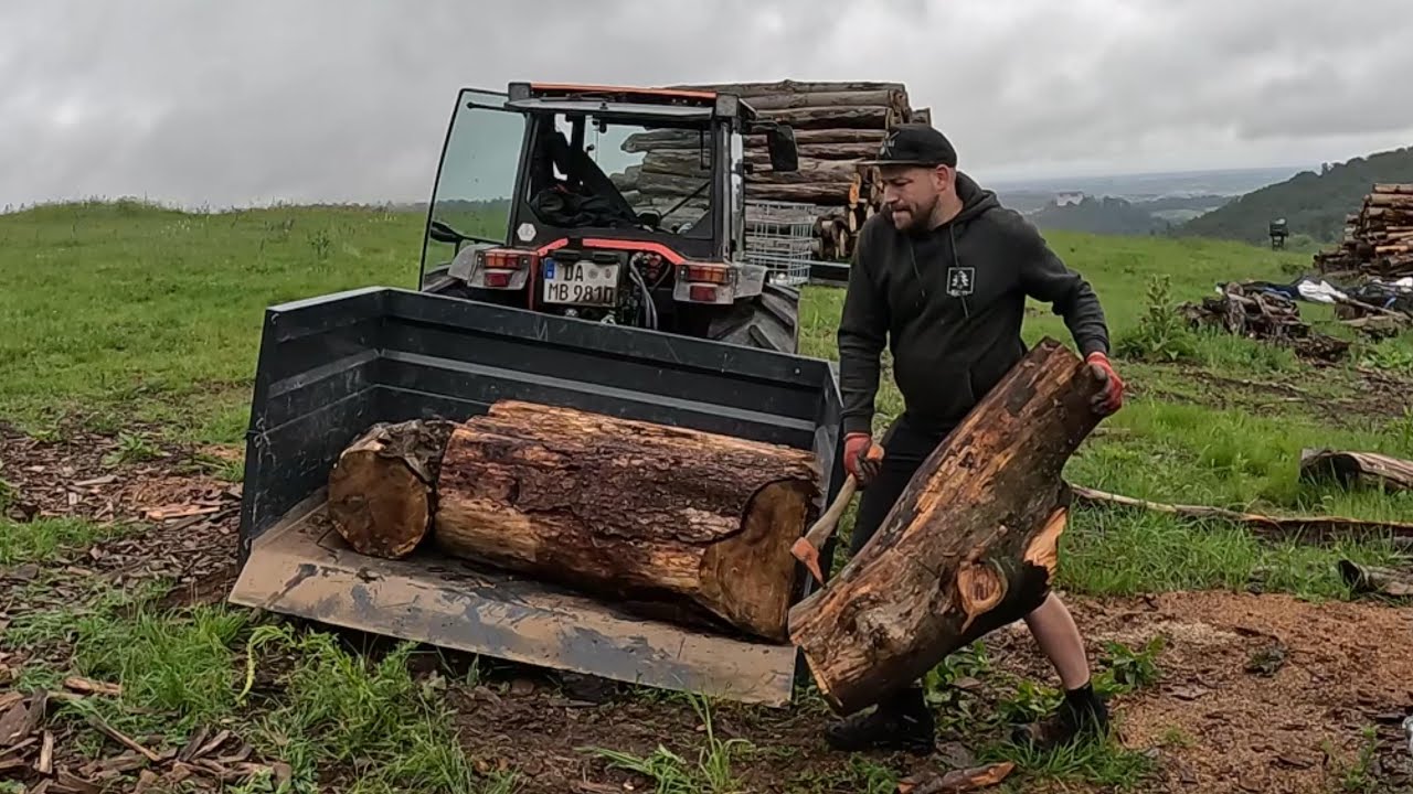 Holztransport mit Goldoni Traktor