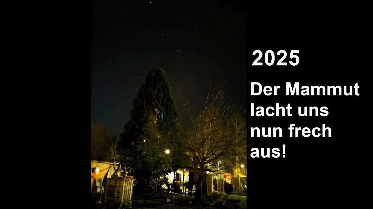 Die pers&ouml;nliche Geschichte eines Bergmammutbaums (Sequoiadendron giganteum)