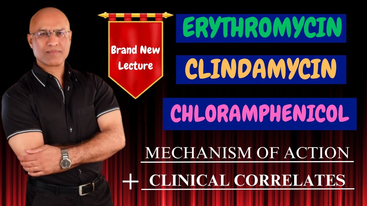 Clindamycin | Erythromycin | Chloramphenicol | MOA & Clinical Correlations🩺