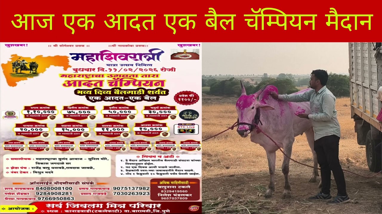 आज एक आदत एक बैल मैदान कोण होणार आदत चॅम्पियन चा मानकरी