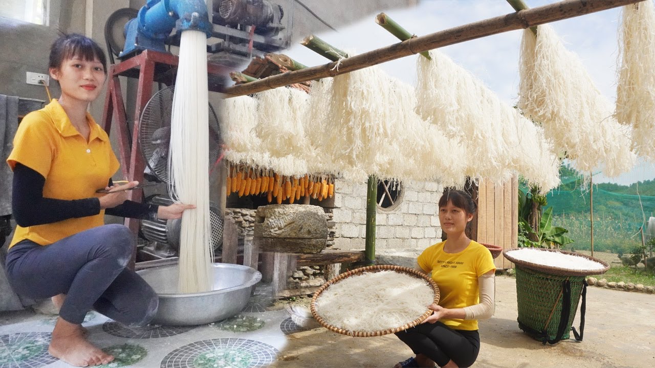 Process Of Making PHO From Rice Grains, How To Prepare Delicious Dishes - Farm Forest Daily Life