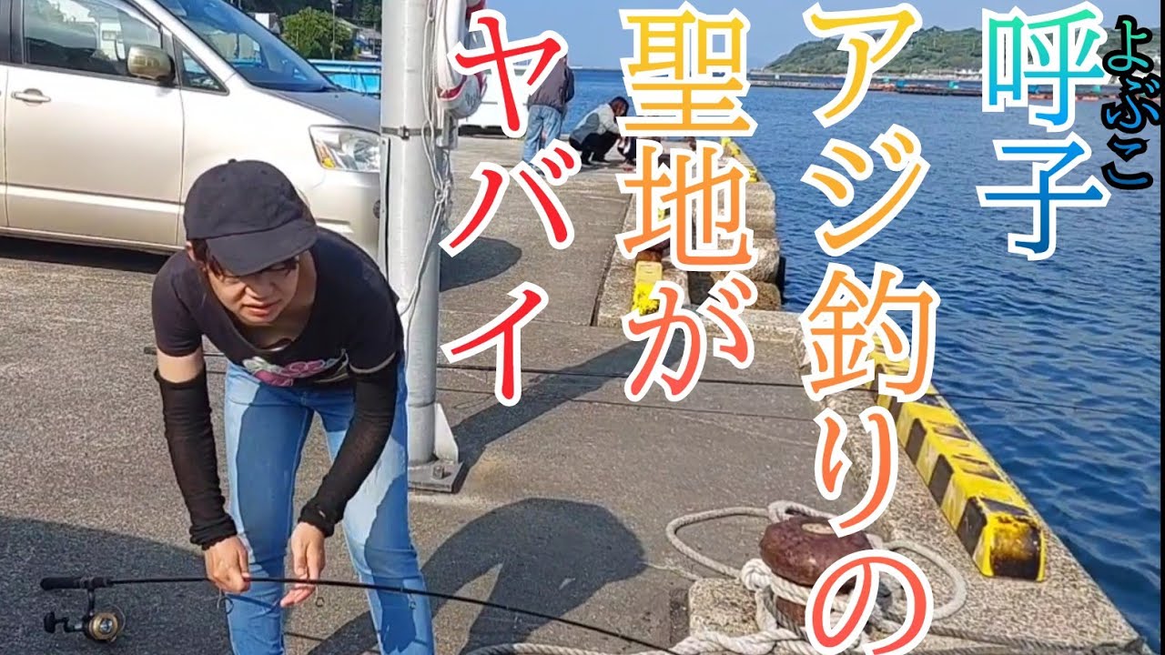 呼子ロッジ下&加部島がヤバイ。