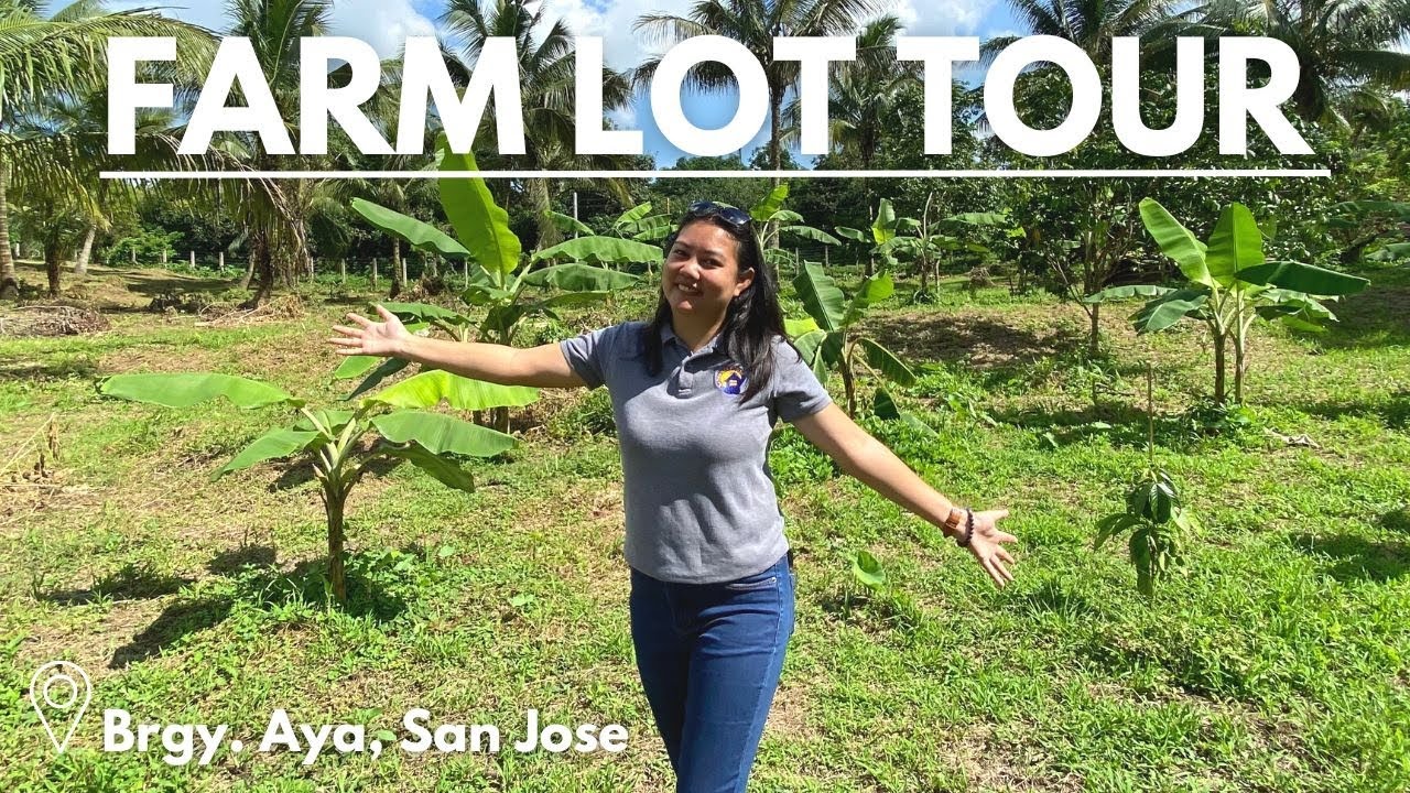 Farm Lots in San Jose, Batangas