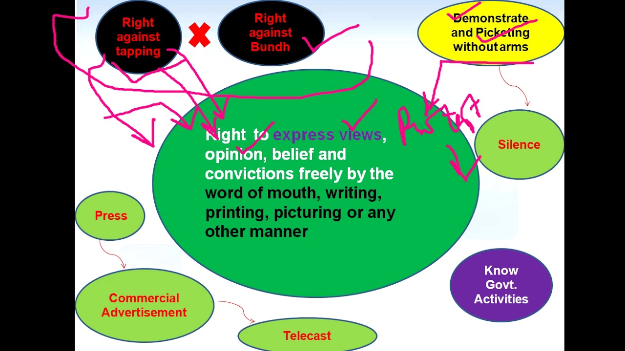 Article 19 (1)(a): Freedom of Speech and Expression