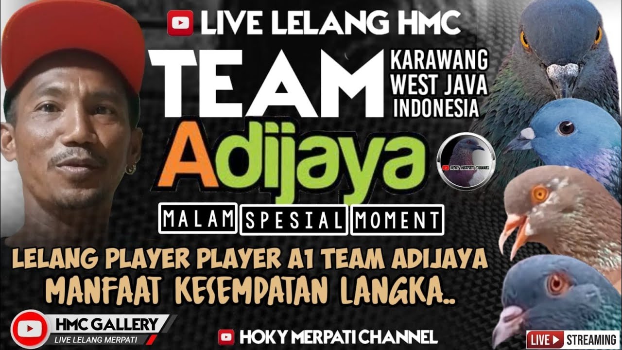 LIVE LELANG MERPATI//MERPATI KOLONG//MERPATI MEJA//HOKY MERPATI CHANNEL