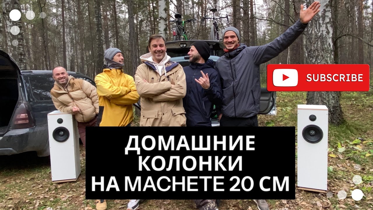 Домашние колонки на MACHETE LW-80A4 20 см.