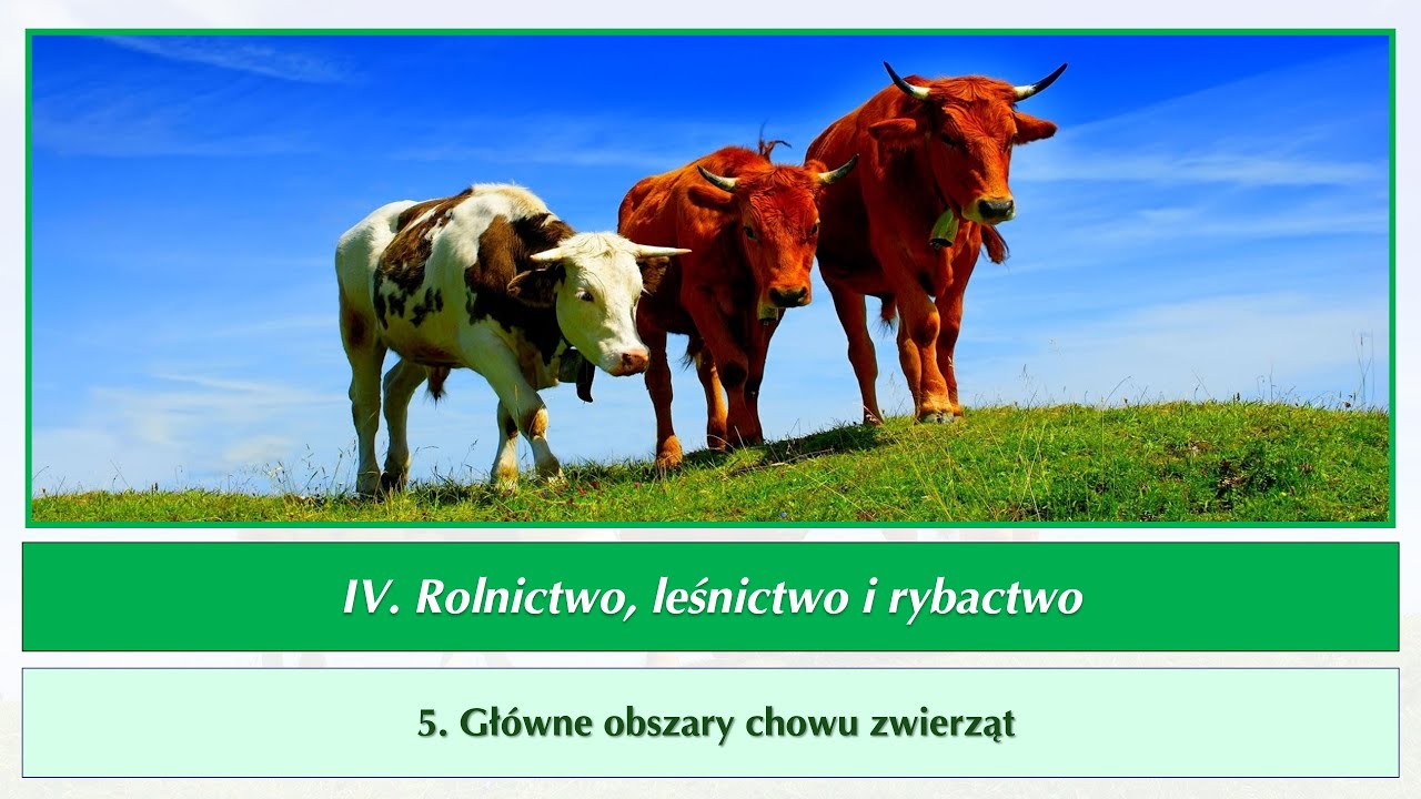 r2 4 05a   Gł&oacute;wne obszary chowu zwierząt
