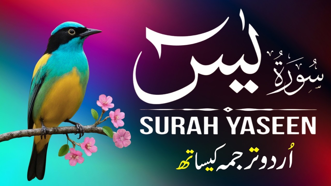 Surah Yaseen | Surah Yaseen With Urdu Translation | Al Furqan Studio | Ep104