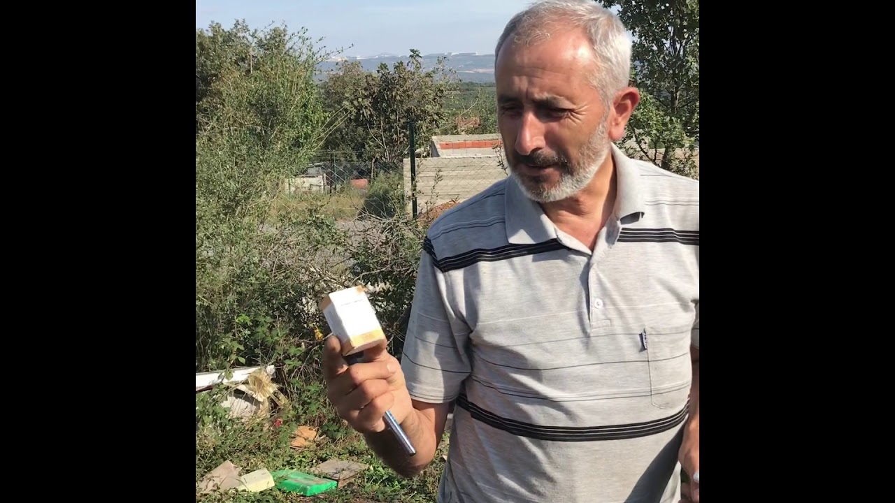Arılarda yavru çürüğü tedavisi