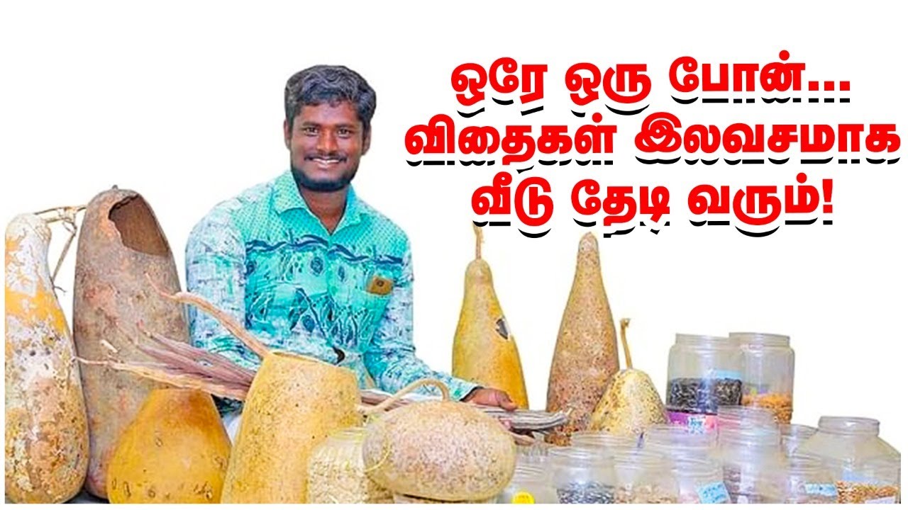 விதைகள் இலவசம்... பாரம்பர்யம் காக்க உதவும் இளைஞர்!