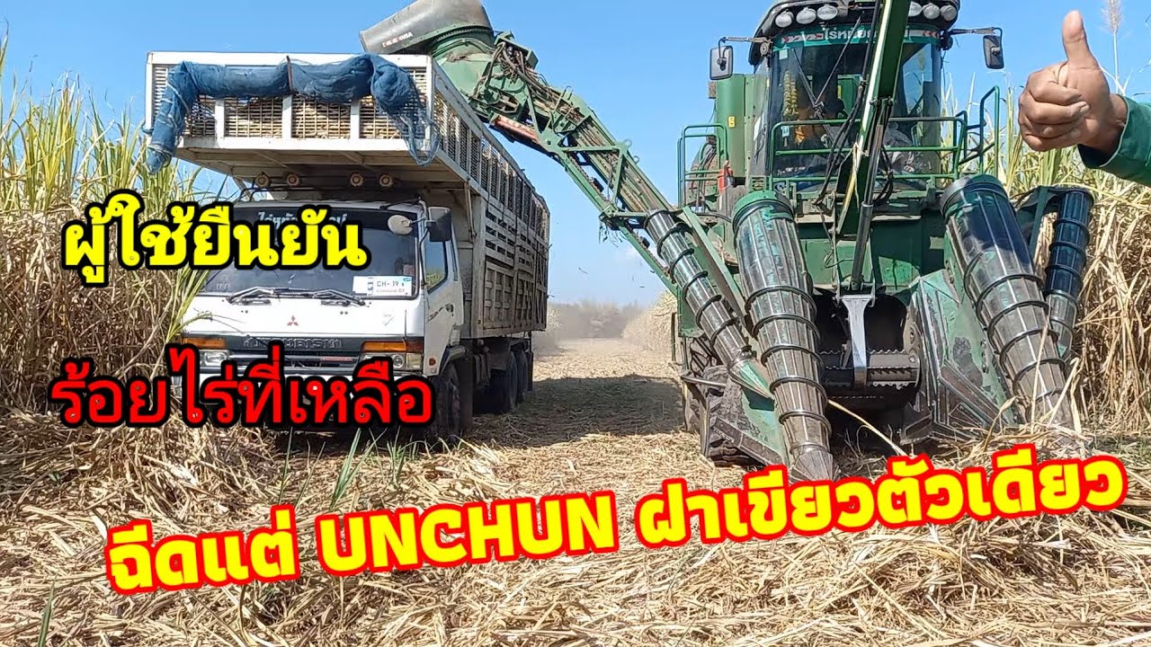 ตัดอ้อยรอบสองร้อยไร่