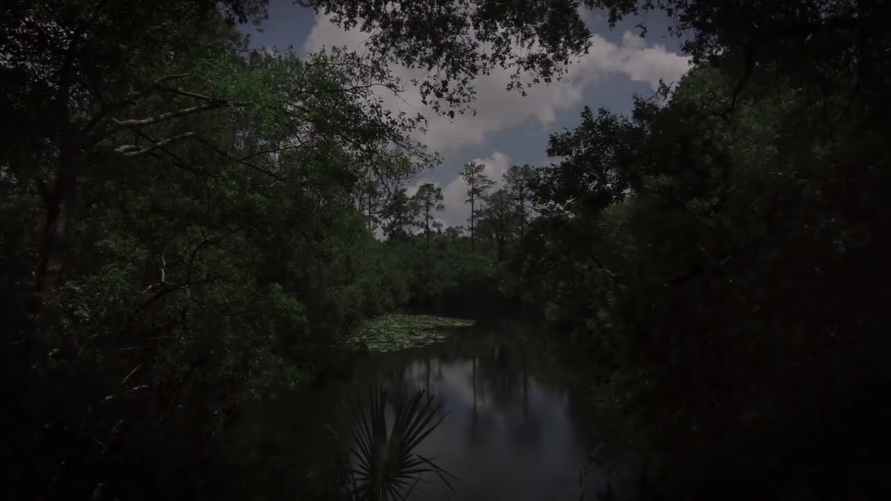 Urban Nature Walk - Walking On Hard-Packed Limestone - Ambient Sound