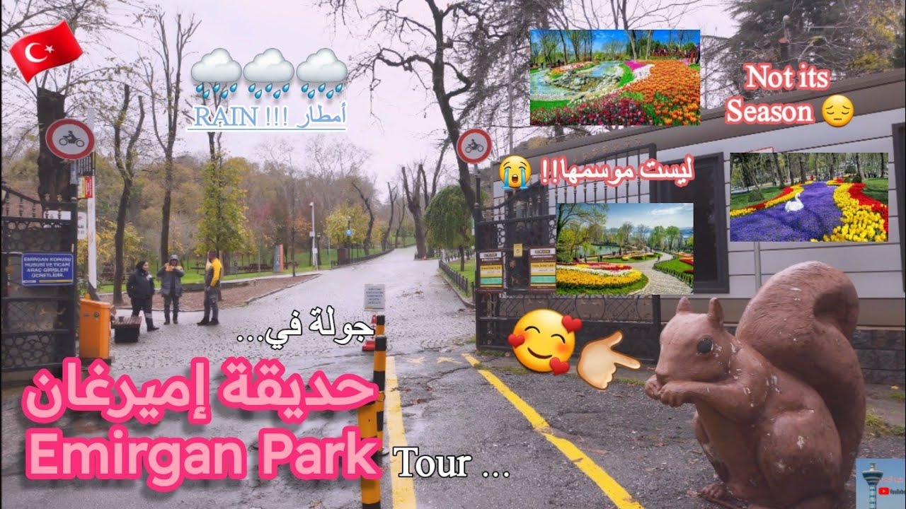 حديقة التوليب و السناجب؟؟؟ إميرغان #اسطنبول Emirgan Park tour #istanbul 