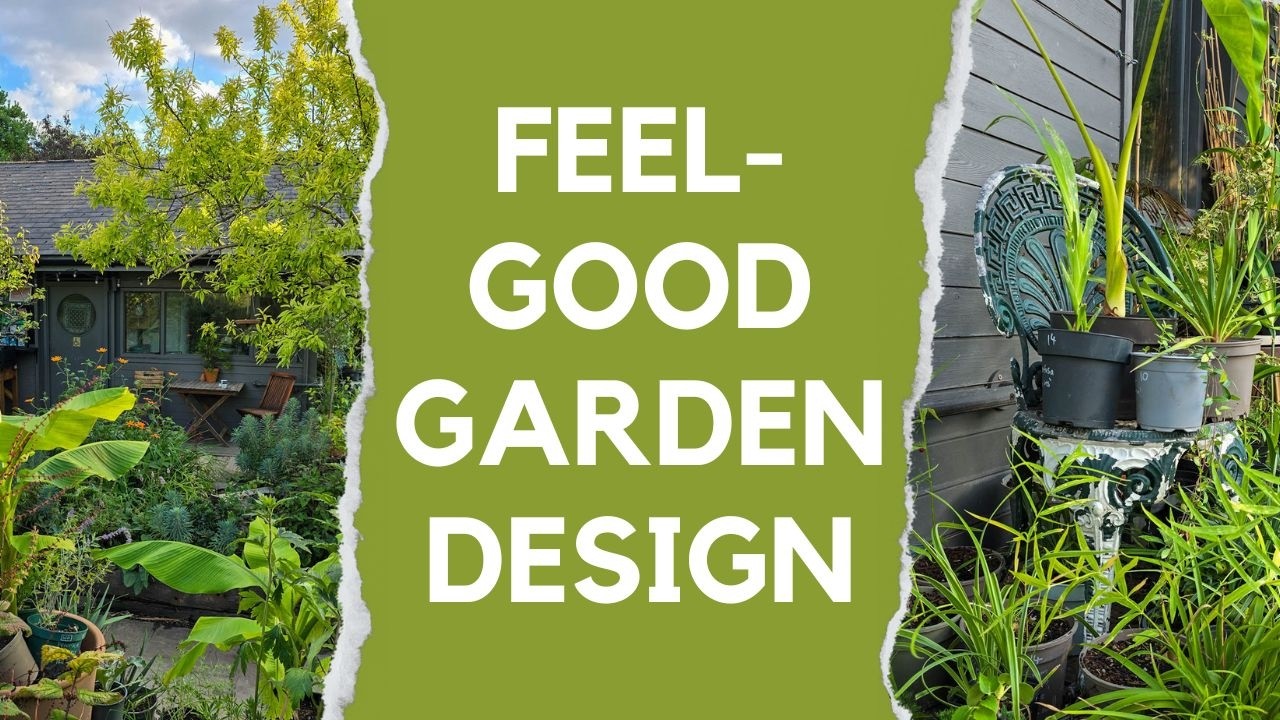 Eco-friendly garden design - saves you money, makes your garden look special and helps wildlife