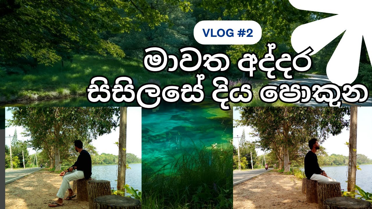 #මාවත අද්දර නිල්දිය පොකුණ🌿❤️#travalvlogs #srilanka #nature #beautifullplace #viral #sinhala #vlog