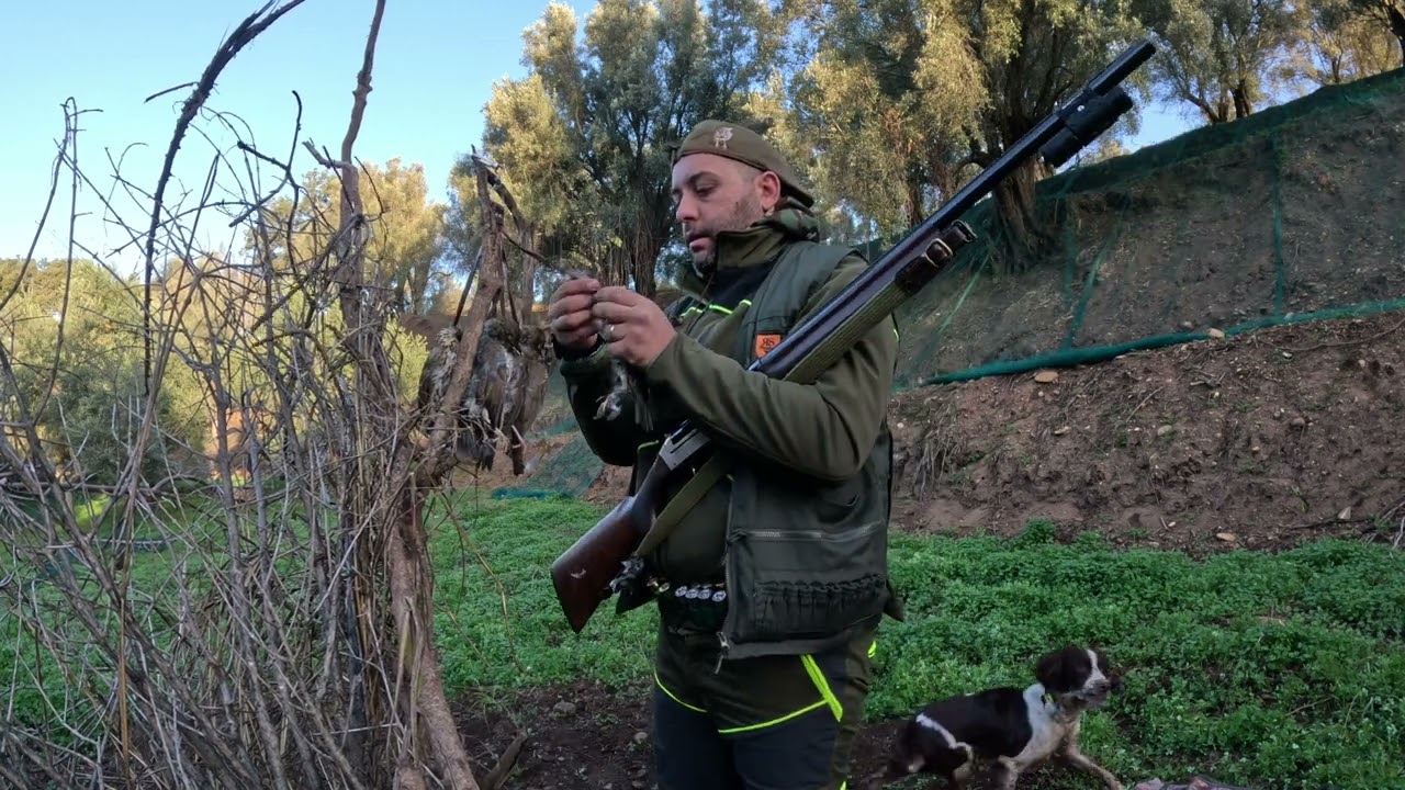 Caccia ai tordi 2025💥💥     #caccia #hunting #cacciatori #canidacaccia #tordi #zorzal #shotkam 
