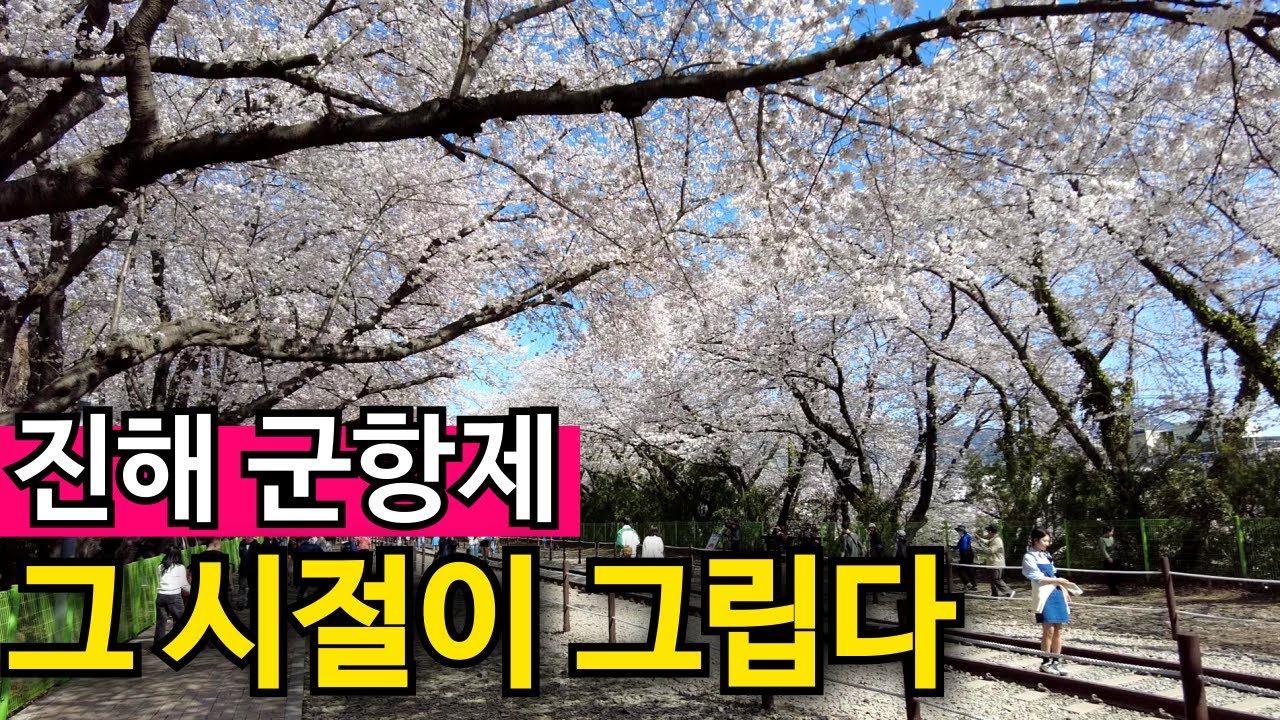 바가지 씌울 인원도 없어 | 그시절 진해 벚꽃장이 그립다