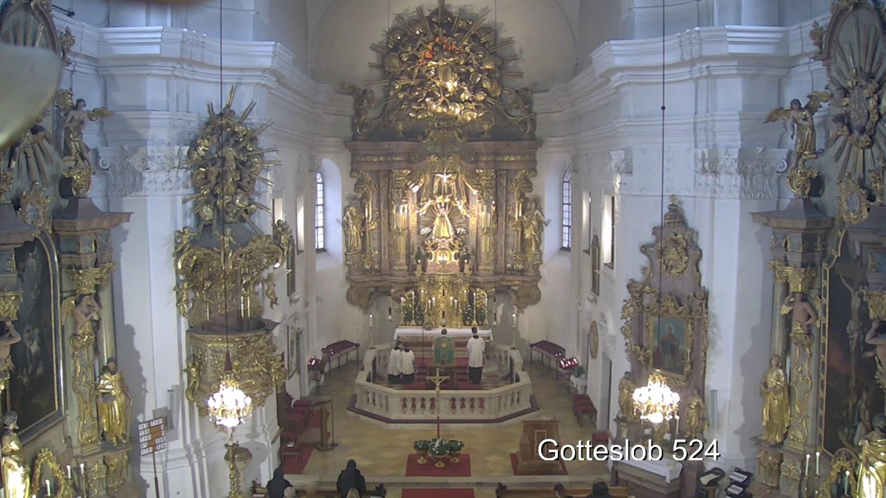 Heilige Messe mit Prof. Ralph Weimann am 8.2.2026 aus Maria Schutz