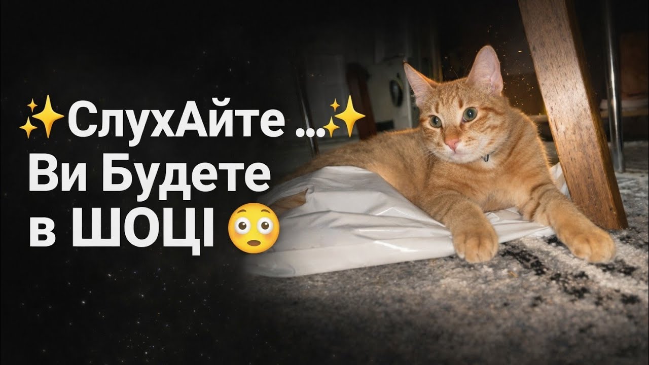 ✨28•01•2026✨СлУхАйТе … Ви Будете в ШОЦІ 😳 