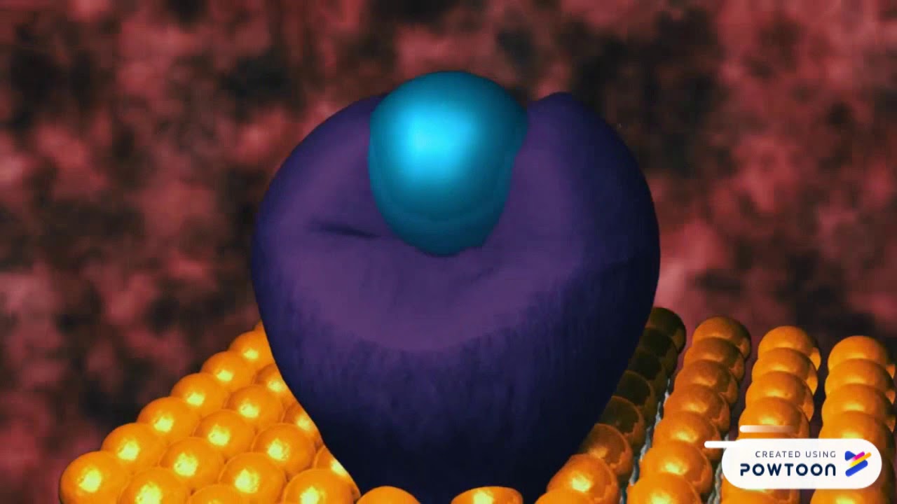 two component system