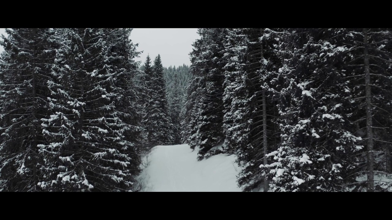 [4K] Mavic 2 pro & montagne | Riprese cinematografiche | Asiago