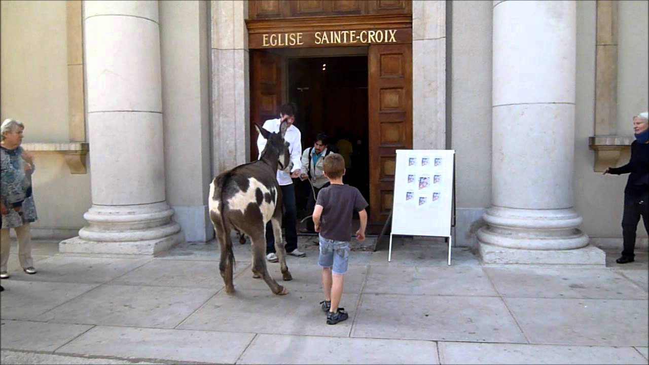 Benediction des maitres animaliers et de leurs animaux Eglise Sainte Croix Carouge