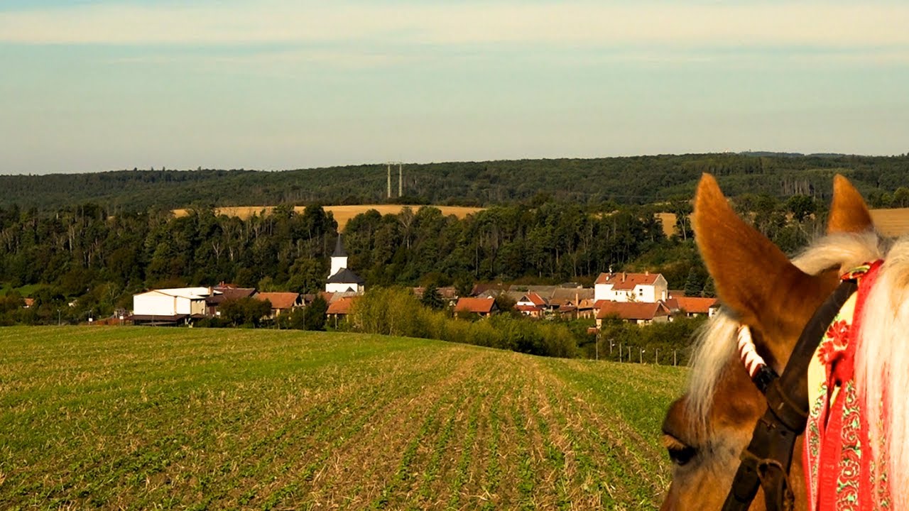 Zapomenut&aacute; vesnice, kterou SKR&Yacute;VAJ&Iacute; Chřibsk&eacute; lesy (DOKUMENT)
