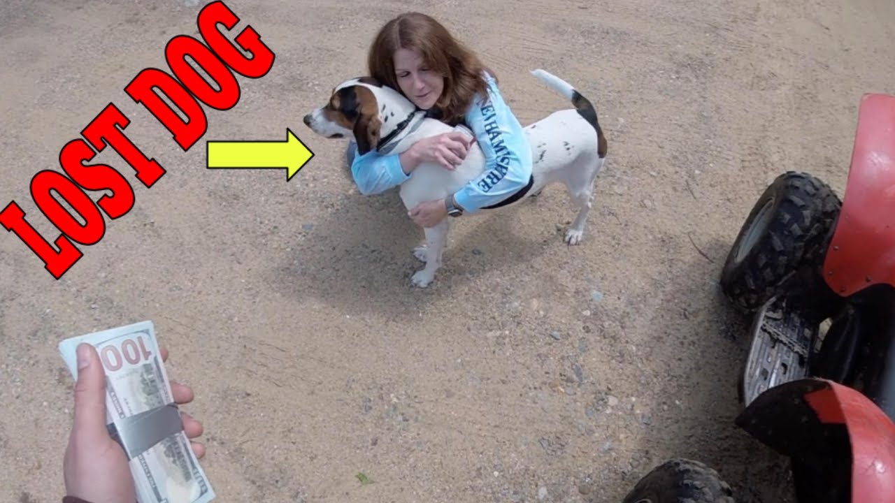 Found A Good Dog While Riding The Free Quad