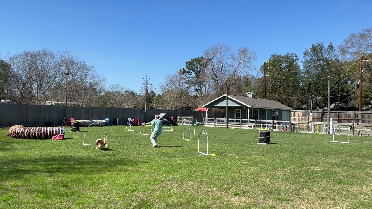 Bonus, Elite Grounders, Fallout, Round 2, 2/23/26