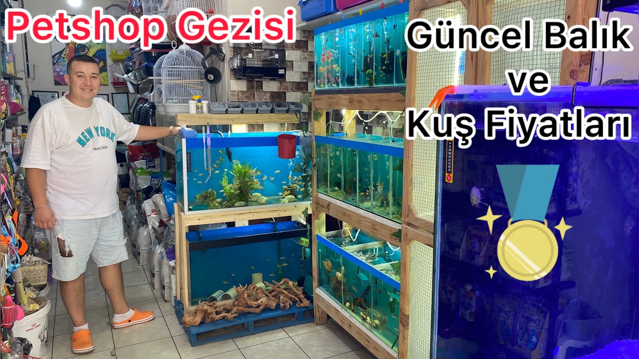 Sünger Petshop ziyaretim harika Petshop gezisi akvaryum balık fiyatları Japon balığı fiyatları