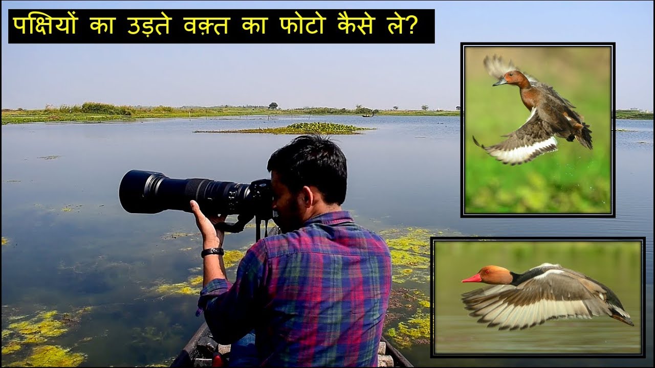 Camera Settings For Bird Photography | Wildlife Photography in India |