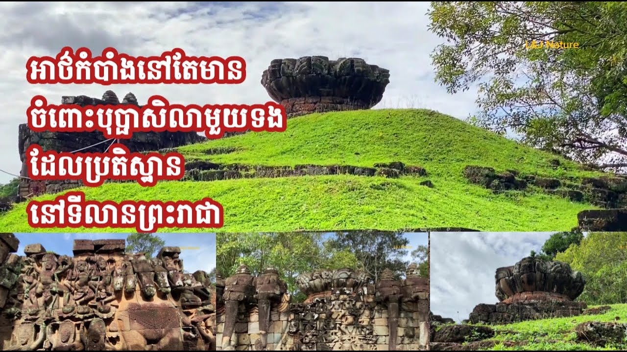 អាថ៌កំបាំងនៅតែមាន ចំពោះបុប្ផាសិលាមួយទង ដែលប្រតិស្ឋាននៅទីលានព្រះរាជា 
