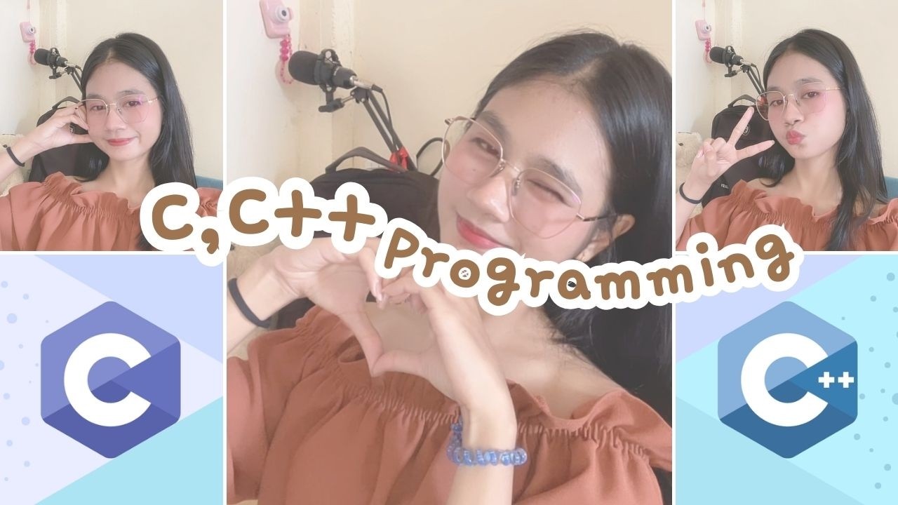 Video កំណែលំហាត់ CRUD | Input | Output | Search | C Programming
