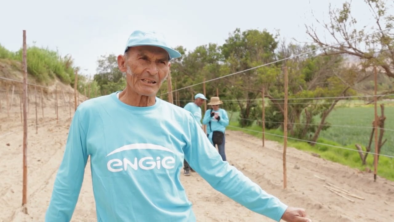 Proyecto de Cultivo de Uvas