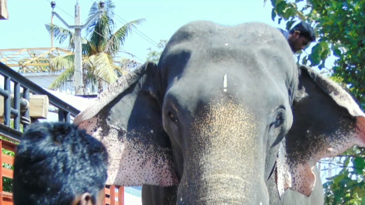 Sivaraju @Uliyakovil durgadevi temple