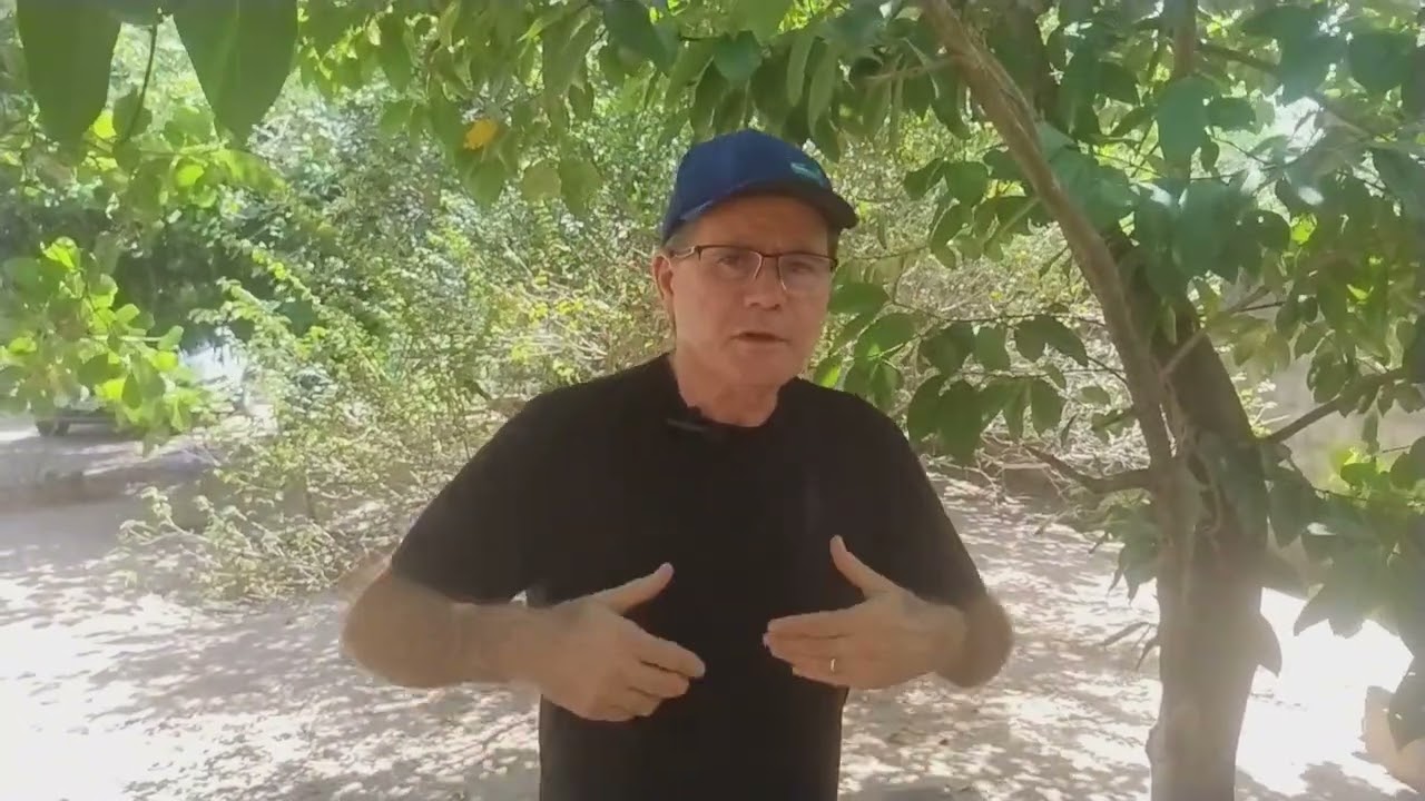 No anexo, em anexo ou anexo? O português das ruas destrava essa dúvida. 