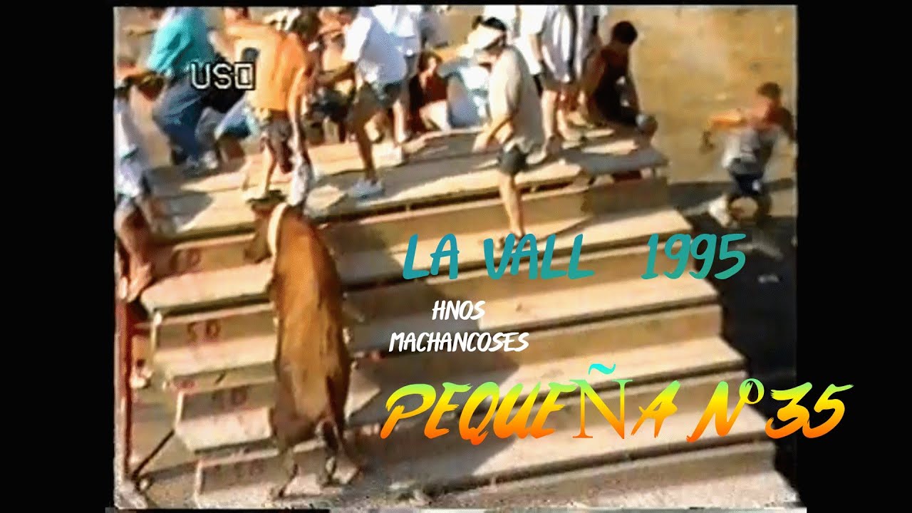 1995 LA VALL HNOS MACHANCOSES PEQUEÑA